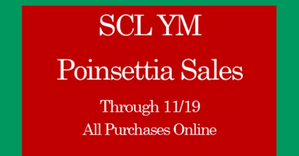 Youth Ministry Poinsettia Sales